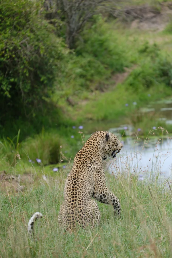 Big Five Fine Art