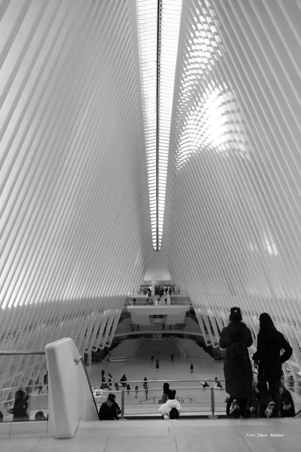 New York Fine Art