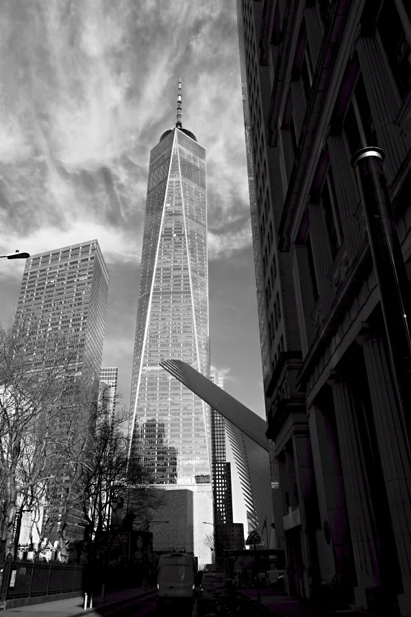 New York Fine Art