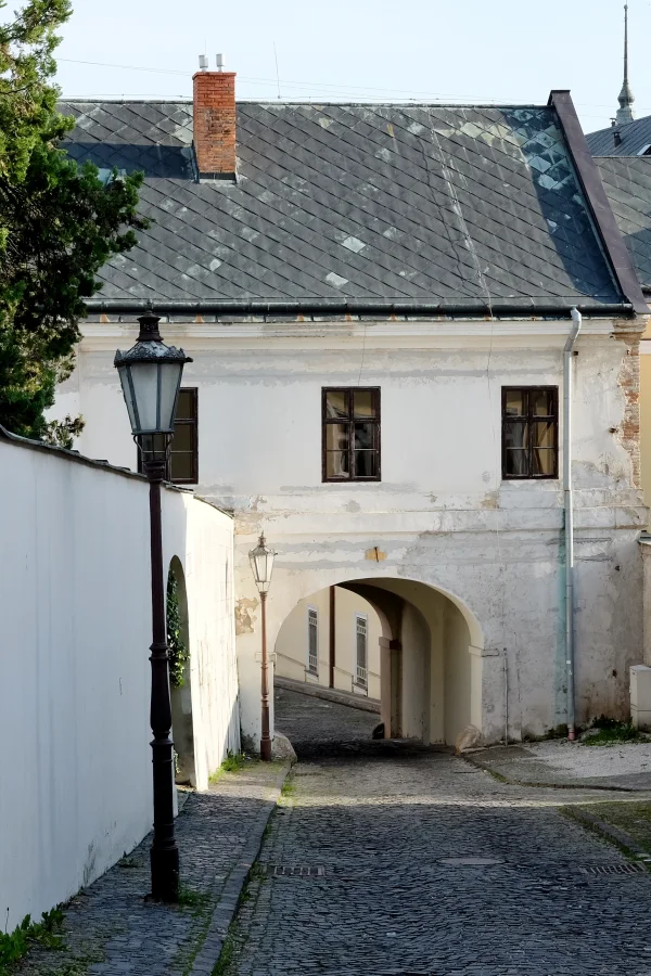 Nitra Fine Art