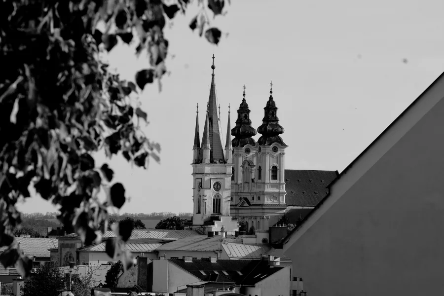 Nitra