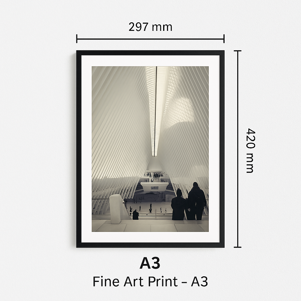 Fine Art Print – A3 (autorský podpis)